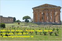44994 16 062 Athene + Poseidon Tempel, Paestum, Amalfikueste, Italien 2022.jpg